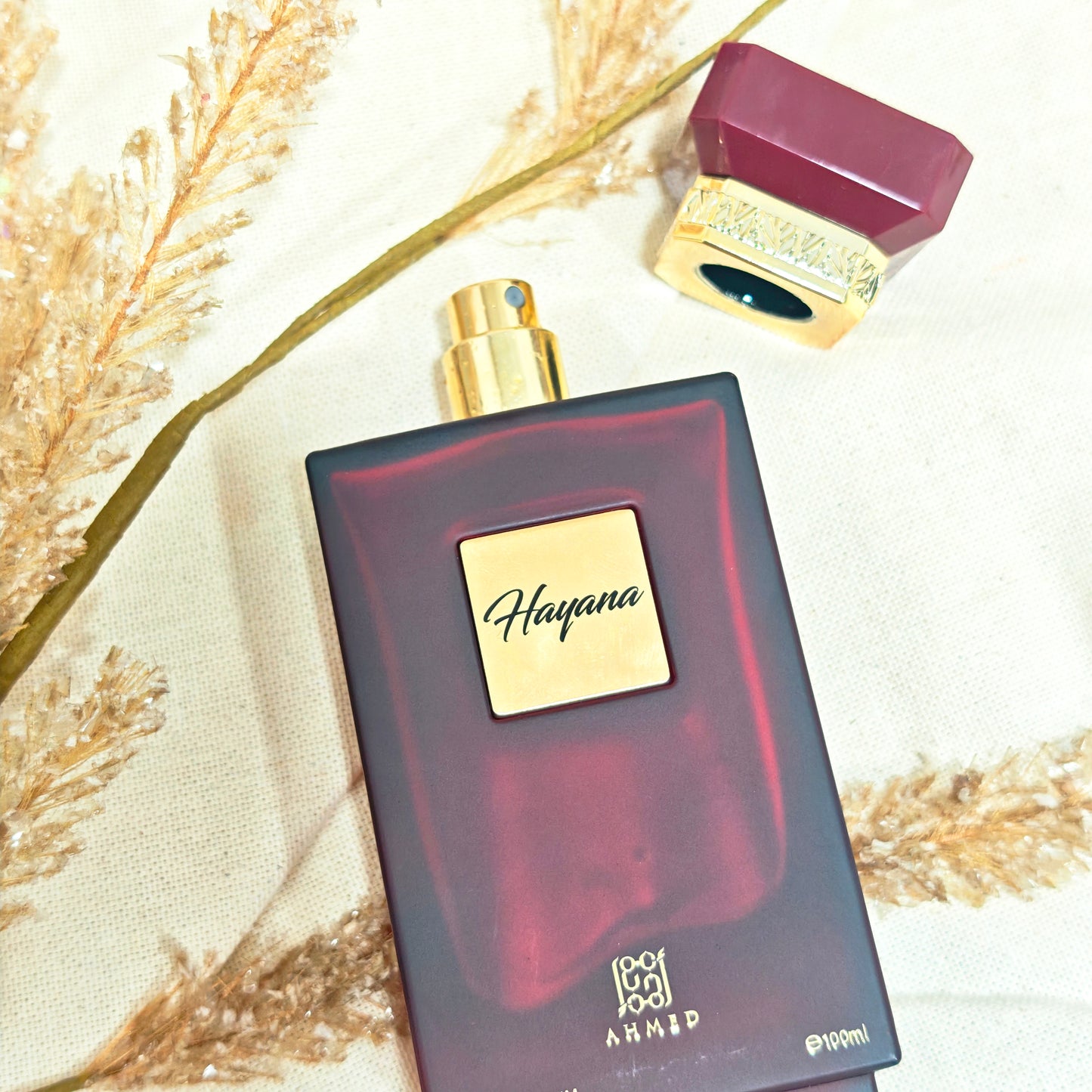 Hayana