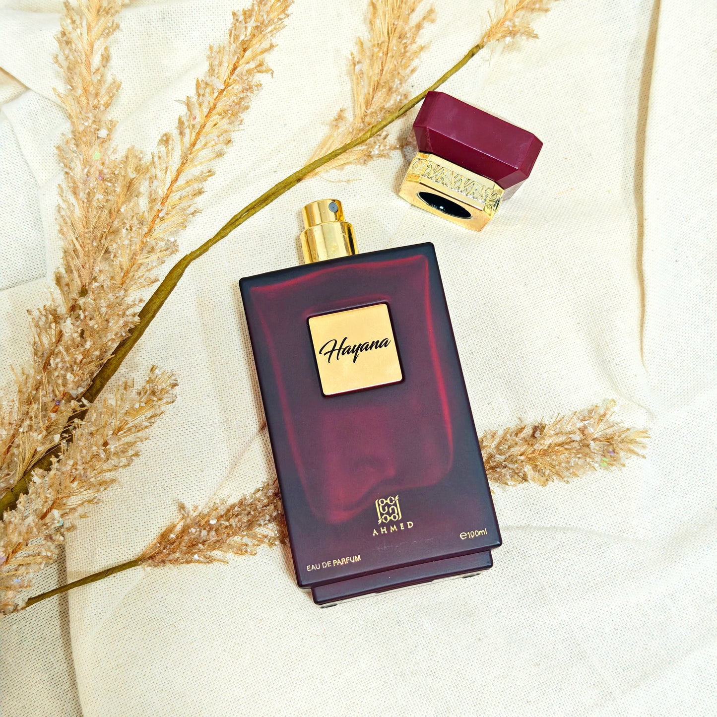 Hayana